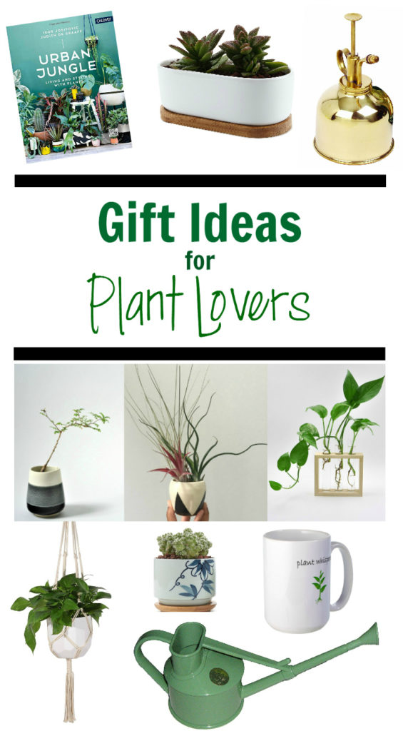 Gift Ideas For Plant Lovers - Clever Bloom