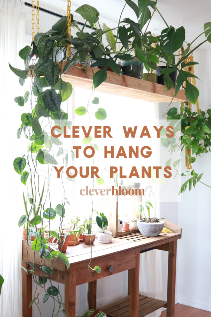 Clever Ways To Hang Your Plants Clever Bloom