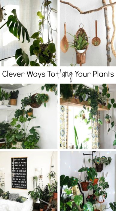 Plant Accessories Archives - Clever Bloom