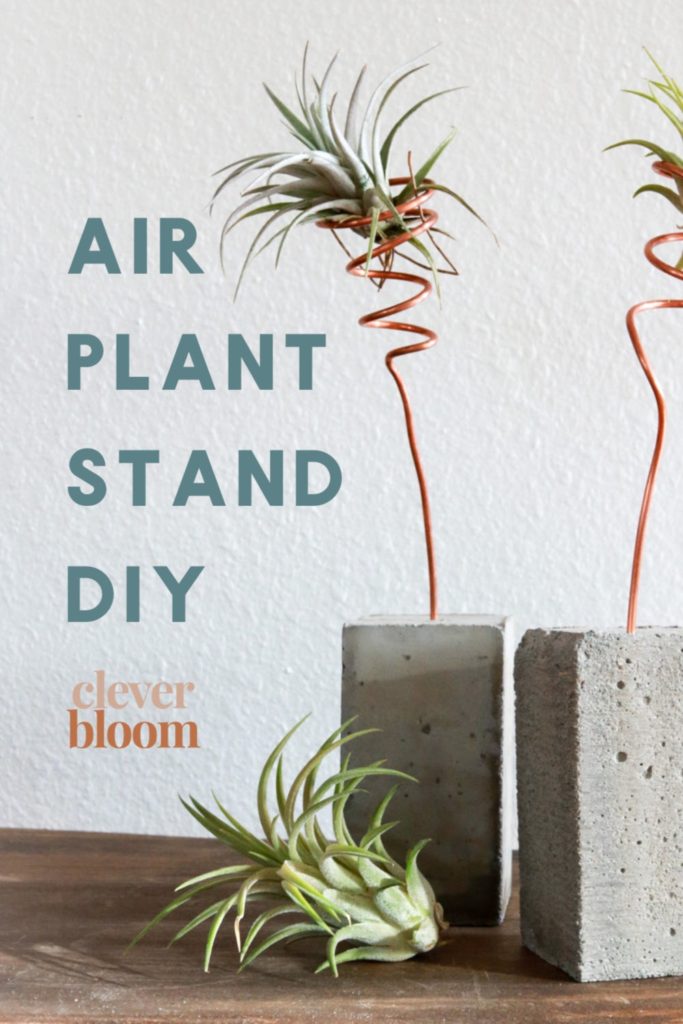 Plant Accessories Archives Clever Bloom
