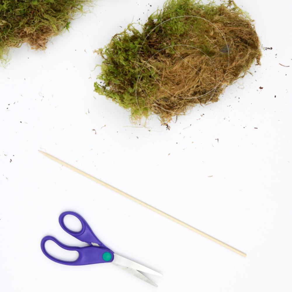 how-to-make-a-mini-moss-pole-for-your-plants