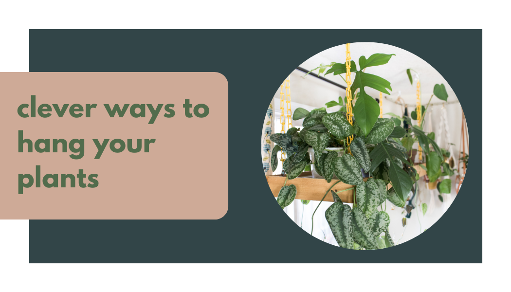 DIY Plant Hanger with just one knot